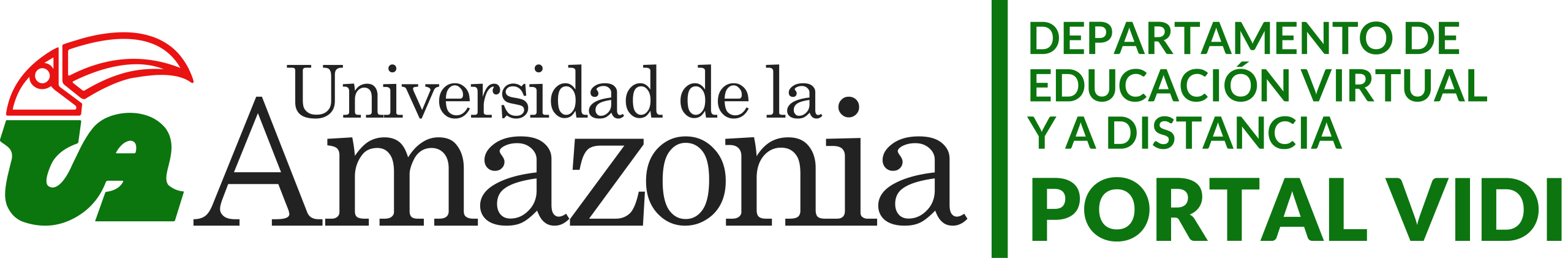 Portal ViDi